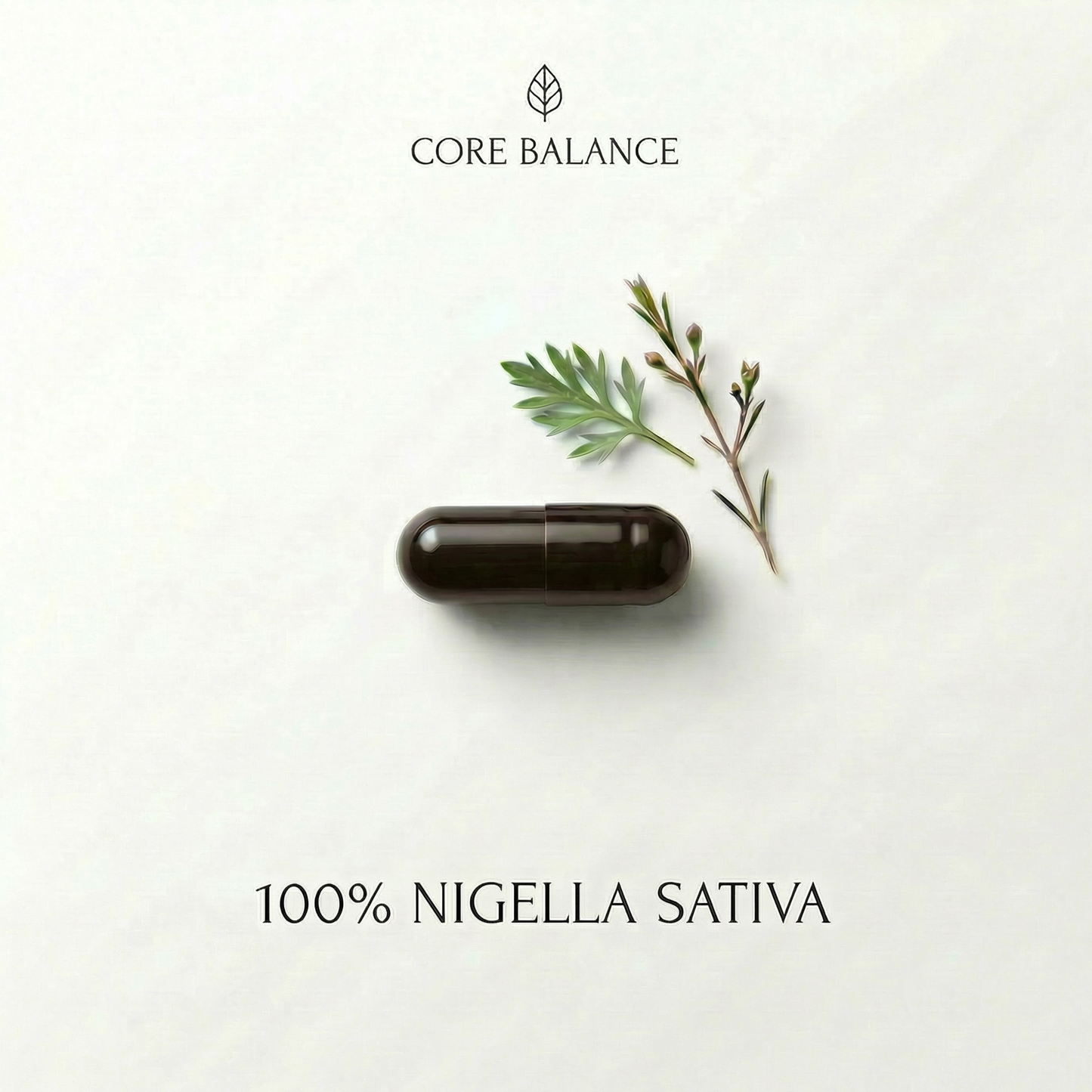CORE BALANCE（コアバランス）｜Daily Jamu Blend