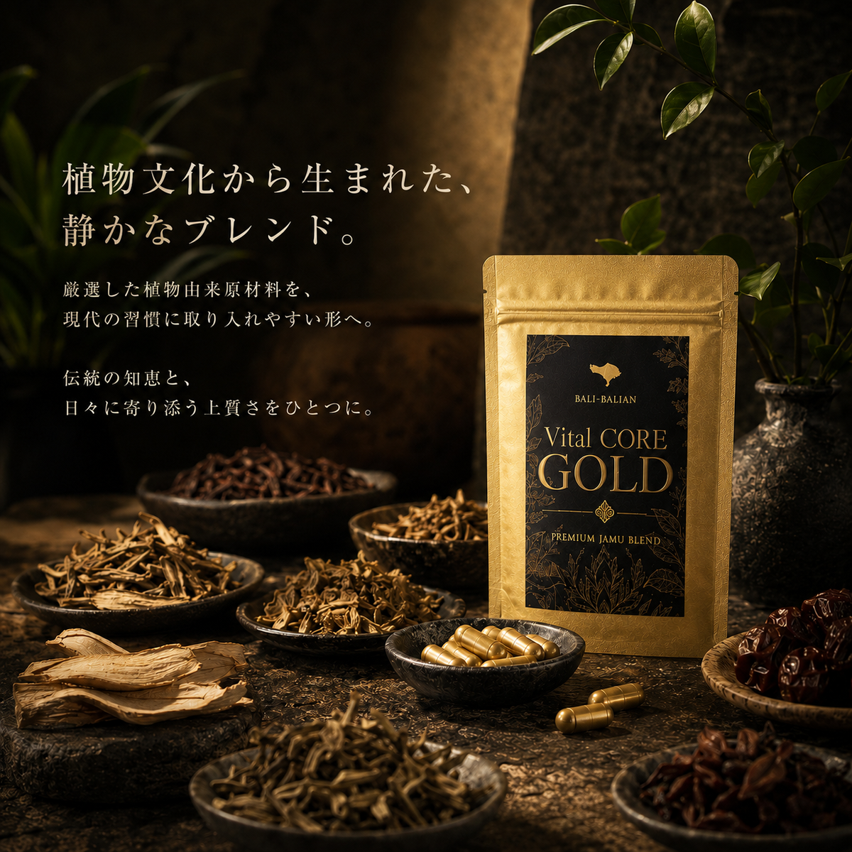 Vital CORE GOLD（バイタルコア・ゴールド）｜Premium Jamu Blend