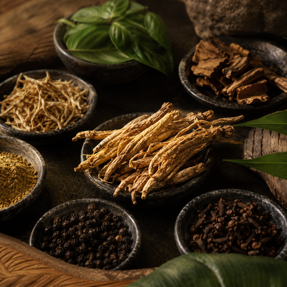 Vital CORE GOLD（バイタルコア・ゴールド）｜Premium Jamu Blend